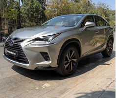 Lexus NX 300h Luxury Crossover - 2019 Model - Excellent Condition - 4