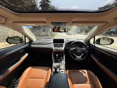 Lexus NX 300h Luxury Crossover - 2019 Model - Excellent Condition - 6
